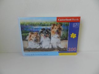 Obrázek z Puzzle kolie 200 dílků 